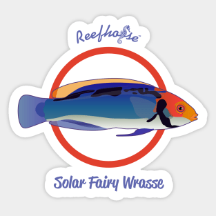 Solar Fairy Wrasse Sticker